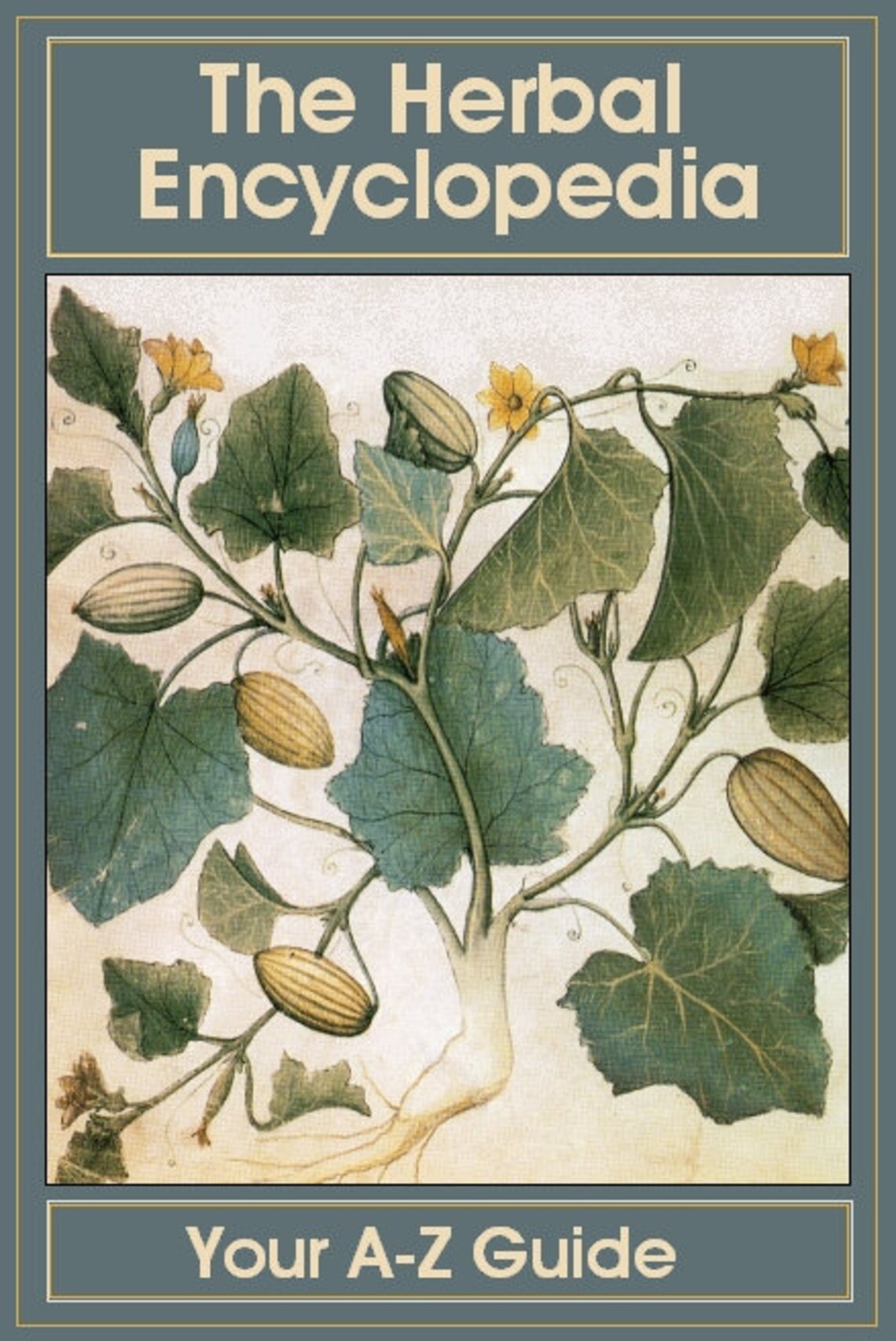 Ebook the Herbal Encyclopedia Your A to Z Guide 597 Page Etsy