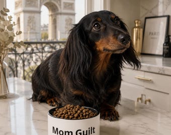 Mom Guilt Pet bowl