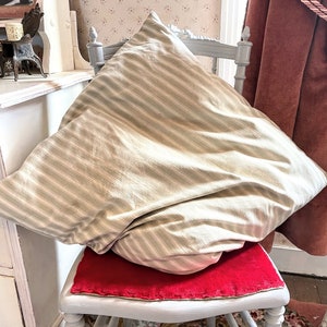 Peut inclure: Une chaise blanche avec un coussin de siège en velours rouge. Un oreiller rayé est drapé sur la chaise. La chaise est dans une pièce avec un papier peint fleuri et un rideau rose.