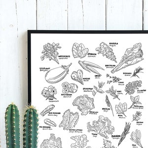 Herbs and Fresh Produce Illustration 11x14in Print, food illustration, food drawing, foodie drawing, lettuce illustration - Digital Download