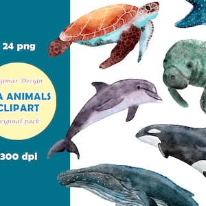 Meerestiere PNG Clipart, Ozean Thema Wandkunst, Meeresschildkröte Walhai Orca Walross Robbe Delfin, Unterwasser Kunst Kinderzimmer digitale Datei