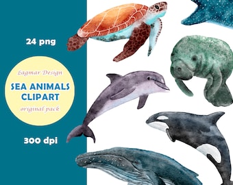 May include: A set of 24 watercolor illustrations of sea animals, including a turtle, dolphin, whale, manatee, and orca. The illustrations are in a realistic style and are perfect for use in digital scrapbooking, card making, and other creative projects.