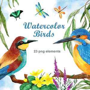Aquarel vogel clipart, Kingfisher bijeneter png illustraties, Butterfly Dragonfly sublimatie print, Bloemen bloemen, Wilgentakken