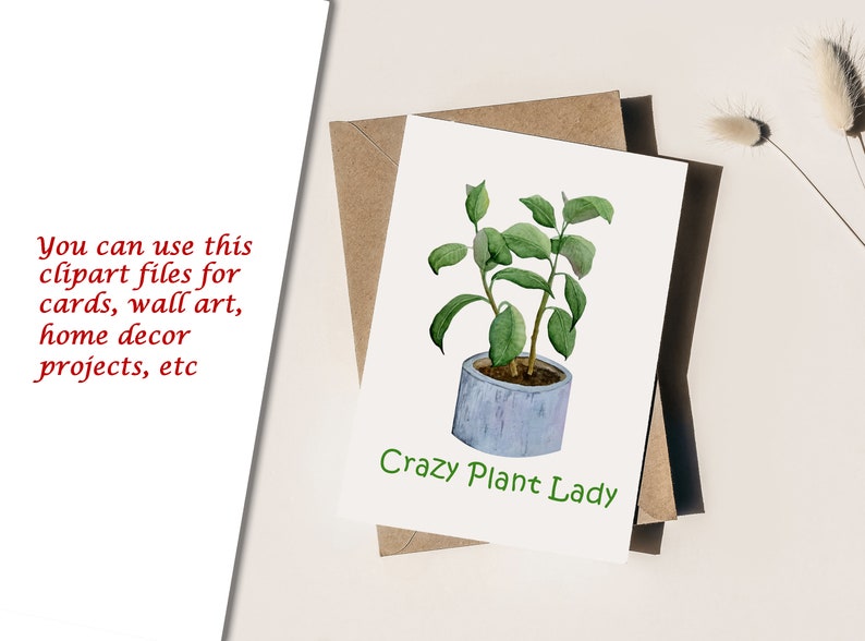 Op de afbeelding: Een witte kaart met groene tekst die "Crazy Plant Lady" zegt. Boven de tekst staat een aquarel-illustratie van een plant in een pot met groene bladeren.