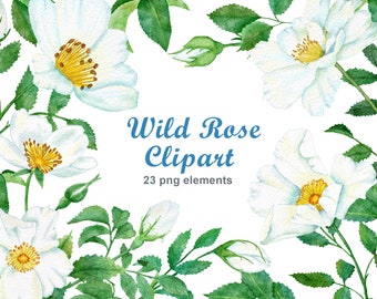 Wild rose clipart, fichier png aquarelle clip art floral, fleurs de mariage imprimables, feuilles branches verdure