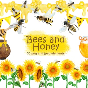 Honingbij clipart/aquarel zonnebloem clipart/honingraat bijenkorf bumble bee clipart/zomer grens clipart