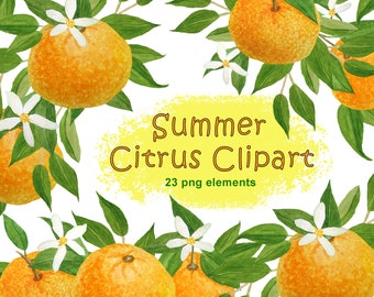 Watercolor orange clipart, Summer citrus clipart, Tangerine blossom fruit png, Floral bouquet files, Tropical citrus wedding