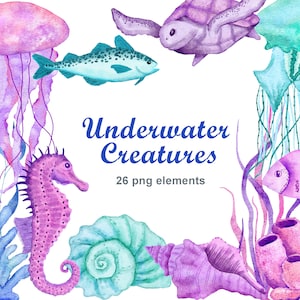 Imágenes prediseñadas de mar náutico, archivo png de playa, medusas pastel, caballito de mar, tortuga, conchas de algas, clip art submarino de verano