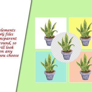 Op de afbeelding: Vier illustraties van een potplant, elk met een andere achtergrondkleur: wit, geel, lichtblauw en perzik. De plant heeft groene bladeren met gele strepen en staat in een grijze pot.