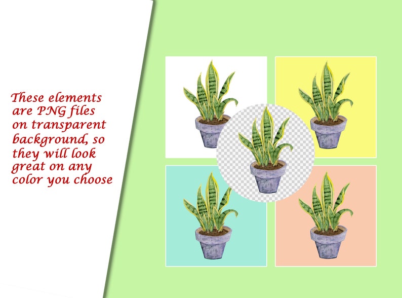 Op de afbeelding: Vier illustraties van een potplant, elk met een andere achtergrondkleur: wit, geel, lichtblauw en perzik. De plant heeft groene bladeren met gele strepen en staat in een grijze pot.