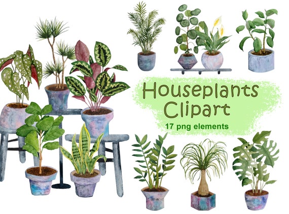 Houseplants clipart png, House plants indoor plants watercolor clip art, Potted plant graphics, Monstera digital download, Home gardening