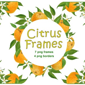 Orange Rahmen Clipart, Zitrus Grenze Clipart, Tangerine Blüte Obst png, Tropical Zitrus Hochzeit
