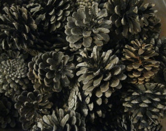 38 Pinecones-Bulk Pinecones-Natural Real Pinecones-Pine-Craft Pinecones-Wreath Materials-Fire Starter-Rabbit Treats