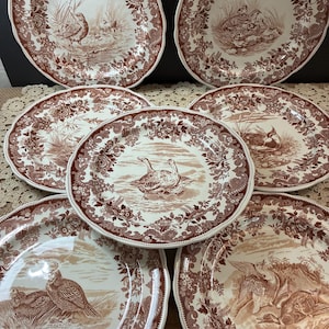 May include: A set of six ceramic plates featuring brown transferware illustrations of various game birds in natural settings. Each plate has a scalloped edge and a decorative floral border. The central designs depict ducks, quail, and other birds.