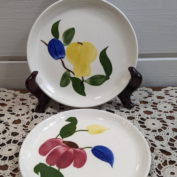 Vintage Mid Century Set of 2 Stetson Side Plates / 6 3/8" Floral Plates/ 1950's Stetson China Pieces