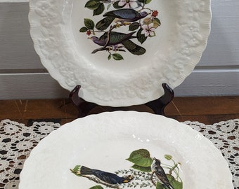 Pair of Birds Of America Collection Plates / 11" Bird Plates / Alfred Meakin / English Transferware / Audubon Society, New York