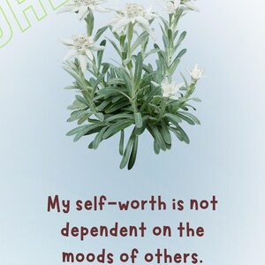 May include: A light blue background with a cluster of white Edelweiss flowers and green leaves. Text in maroon reads, "My self-worth is not dependent on the moods of others."