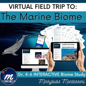 Pode incluir: Uma viagem virtual ao bioma marinho para as séries 4-6. A imagem mostra uma tela de computador com uma aula de boas-vindas aos biomas marinhos, um tablet com uma visão 3D da Grande Barreira de Coral e um golfinho nadando no oceano. O texto "Gr. 4-6 INTERACTIVE Biome Study" e "Minkybubs Montessori" também é visível.