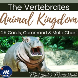 Carta de clasificación de vertebrados de Animal Kingdom Tarjetas de gran formato para investigación