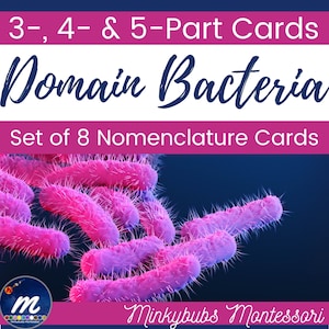 Bacteria Domain of Life Set of 8 3 4 and 5 Part Cards Classified Nomenclature