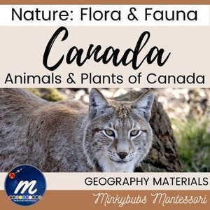 Animales y plantas de Canadá Flora y fauna canadiense Tarjetas de 3 partes