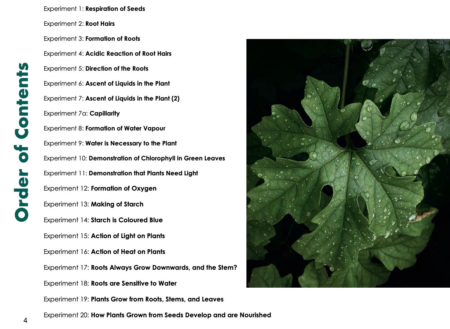 Botany 21 Botany Experiments Montessori Suitable Homeschool ALL ...