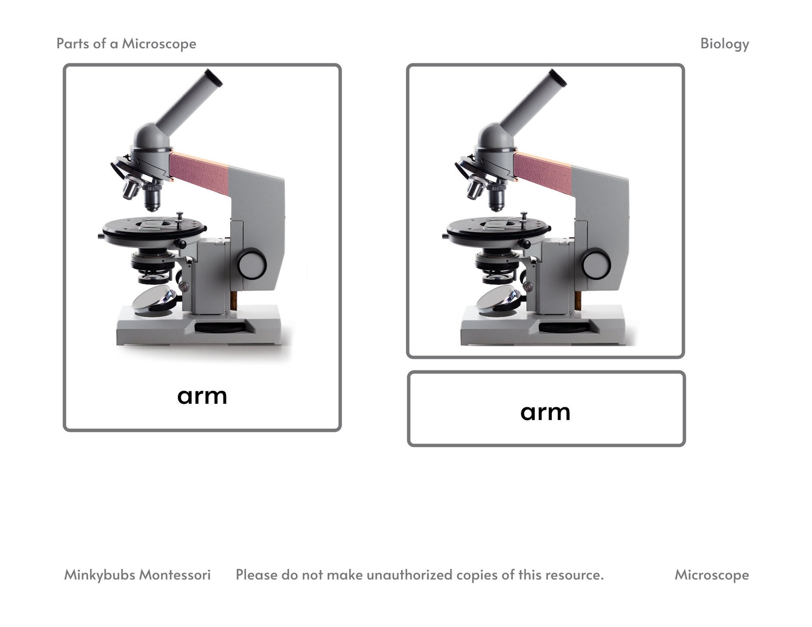 Parts of a Microscope 3 Part Cards - Etsy