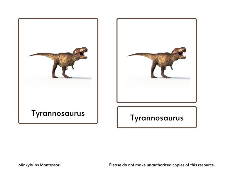 Dinosaurs Montessori 3 Part Cards With Picture and Labels for Sorting ...