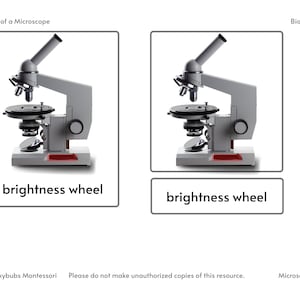 Parts of a Microscope 3 Part Cards - Etsy