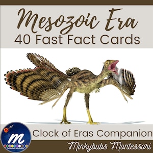 Cartões de fatos rápidos da Era Mesozóica 40 cartões Montessori Companion to Clock of Eras ou recurso independente para ensino de história da terra e geologia