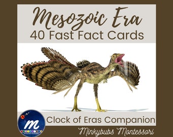 Carte informative veloci dell'era mesozoica 40 carte Montessori Compagno dell'Orologio delle Ere o risorsa autonoma per l'insegnamento della storia della Terra e della geologia