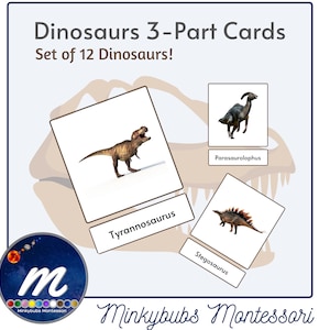 Dinosaurs Montessori 3 Part Cards with Picture and Labels for Sorting