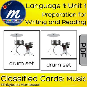 Carte classificate Strumenti musicali dell'Orchestra Montessori set di 16 illustrazioni relative alla musica Immagini con etichette