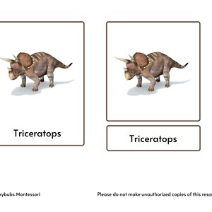 Dinosaurs Montessori 3 Part Cards With Picture and Labels for Sorting ...