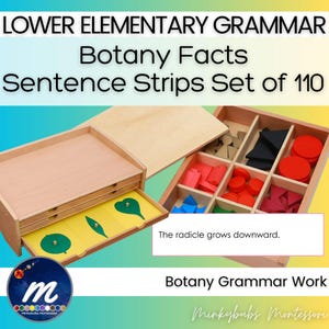 May include: A wooden Montessori botany grammar set with the text "LOWER ELEMENTARY GRAMMAR Botany Facts Sentence Strips Set of 110". The set includes a tray with compartments containing colorful geometric shapes and sentence strips. The text "The radicle grows downward" is also visible.