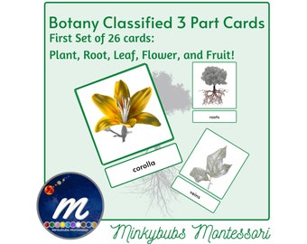Botany Classified Cards First Set Plant Root Flower Fruit Montessori Set of 26
