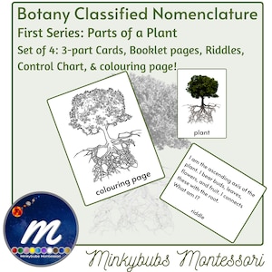 Montessori Botany Classified Nomenclature 3 Part Cards 1st Series Parts of Plant with Labels, Control Chart, Riddles, Stories, Booklet, etc