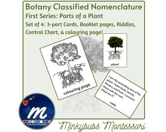 Montessori Botany Classified Nomenclature 3 Part Cards 1st Series Parts of Plant with Labels, Control Chart, Riddles, Stories, Booklet, etc