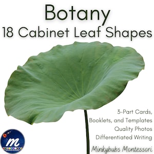 Montessori Botany Leaf Cabinet 3-Part Photo Cards Booklets and Templates