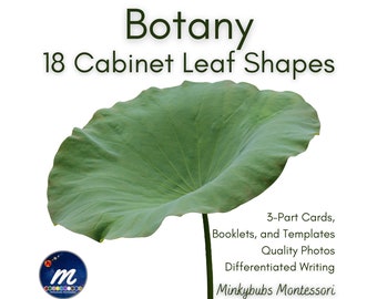 Montessori Botany Leaf Cabinet 3-Part Photo Cards Booklets and Templates