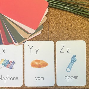 Alphabet d'automne - Cartes nature pour l'école à la maison, début d'école et nature Montessori, automne, salle de classe, décoration de chambre d'enfant, article physique