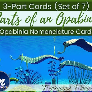 Cambrian Animals 3 Part Cards Parts of the Opabinia Montessori