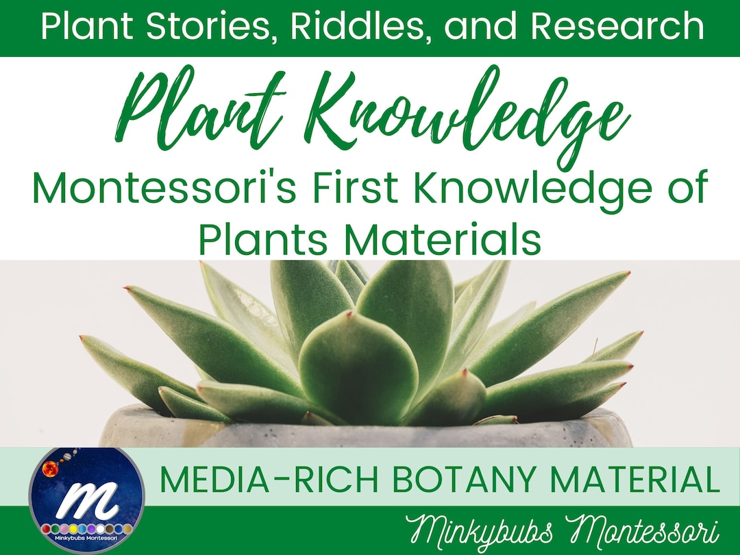 BOTANY 1st Knowledge of Plants Stories Riddles Research Montessori ...