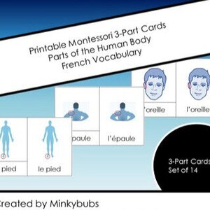 Montessori nomenclature 3-part cards body parts in French set of 14
