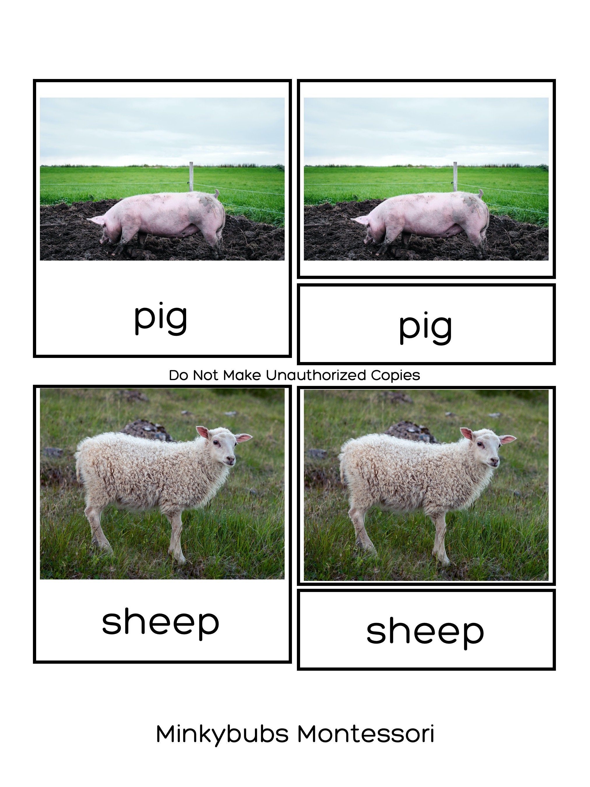 Classified Cards Farm Animals Montessori set of 10 Common Farm | Etsy