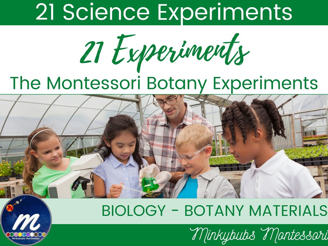 Botany 21 Botany Experiments Montessori Suitable Homeschool ALL