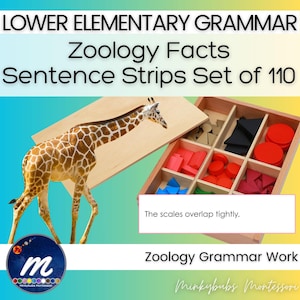 Montessori Zoology Facts 110 Sentence Strips Articles to Complex Sentences
