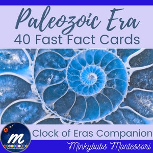 Carte informative veloci dell'era paleozoica 40 carte Montessori Compagno dell'Orologio delle Ere o risorsa autonoma per l'insegnamento della storia della Terra e della geologia