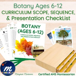 Pode incluir: Um conjunto de currículo de botânica para crianças de 6 a 12 anos, com uma lista de verificação, gráficos e uma caixa de madeira com materiais educacionais. O conjunto apresenta ilustrações coloridas e o texto "Botany Ages 6-12 Curriculum Scope, Sequence, & Presentation Checklist."