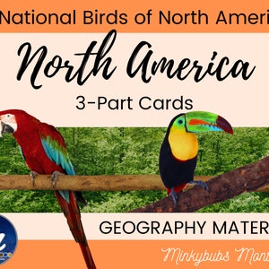 National Birds of North America Geography Montessori 3 Part Cards Print and Cursive